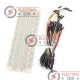 Breadboard MB-102 + 65 Jumper Wires